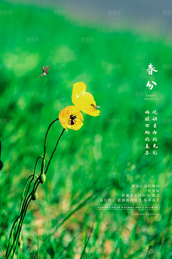 春分节气简约大气海报
