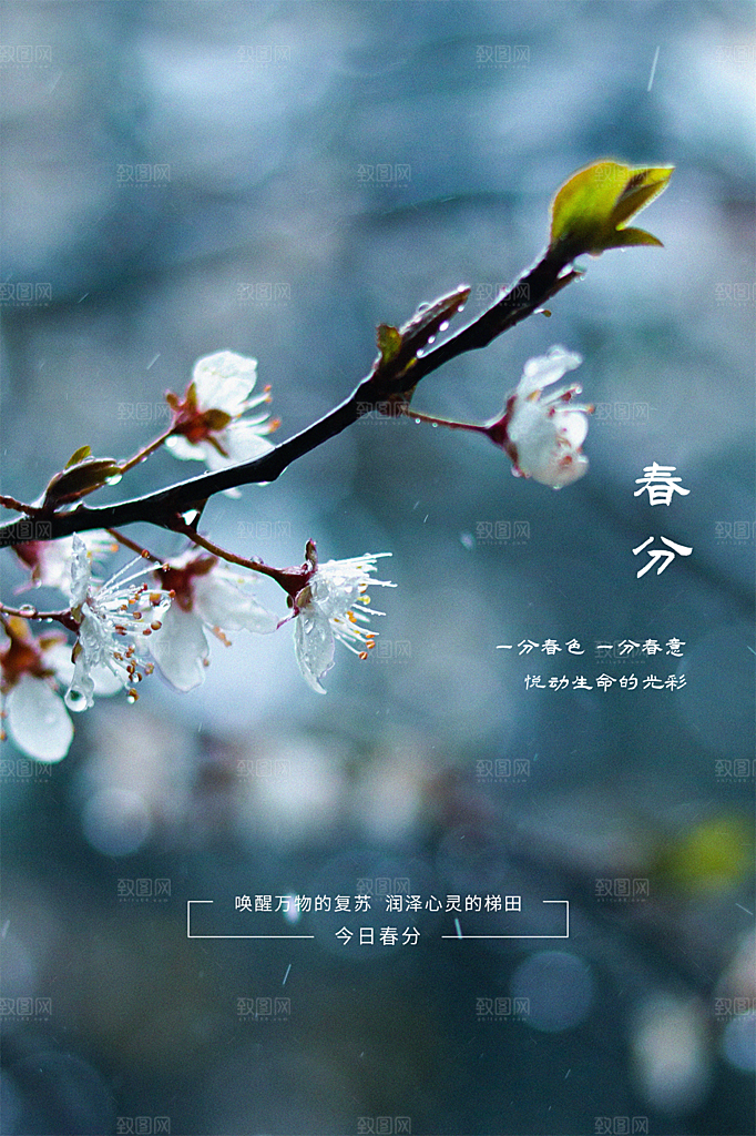 春分节气简约大气海报