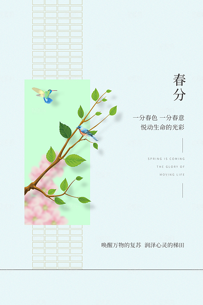 春分节气简约大气海报