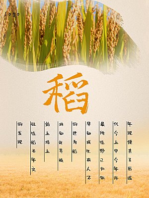 中华传统美食稻谷
