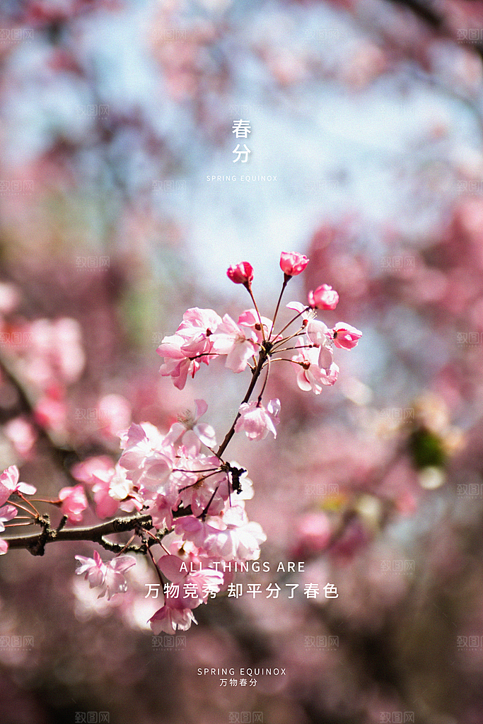 春分节气简约大气海报