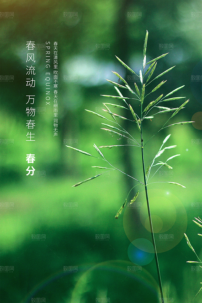 春分节气简约大气海报
