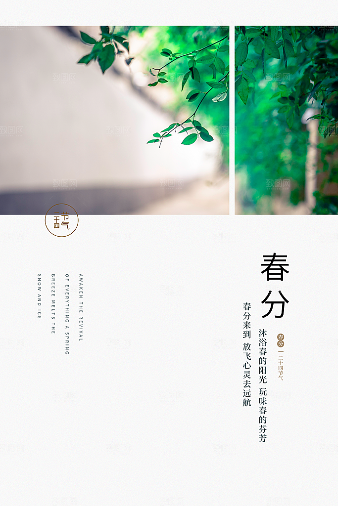春分节气简约大气海报