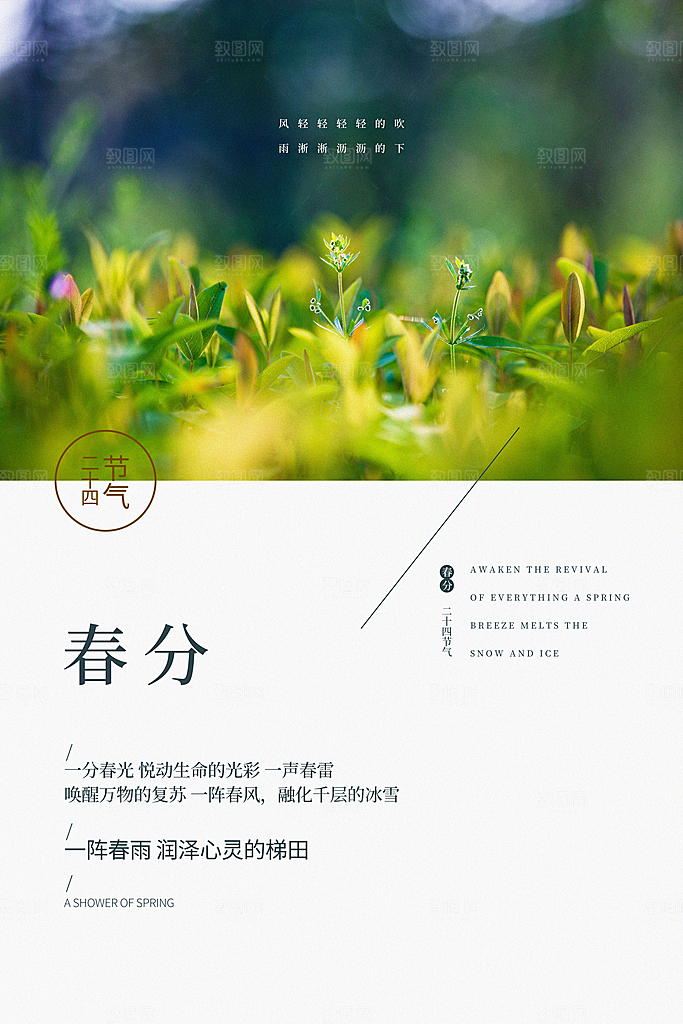 春分节气简约大气海报