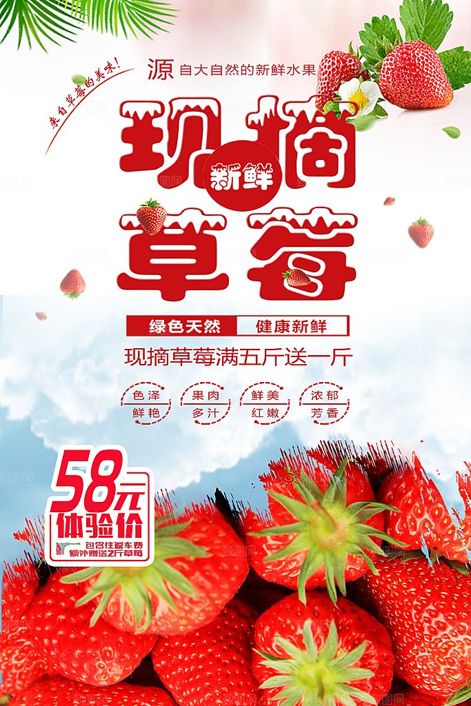 新鲜水果现摘草莓