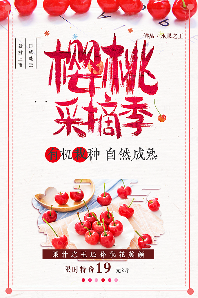 新鲜水果樱桃采摘季