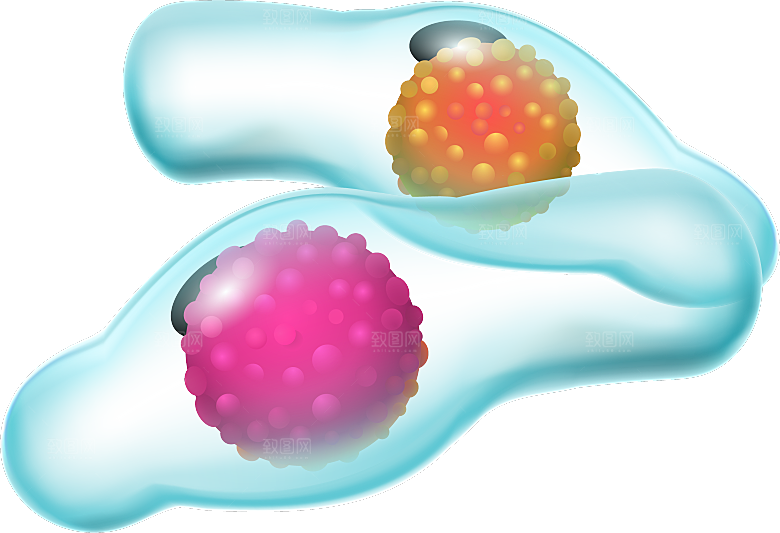 生物病毒微生物细菌病菌流感杆菌细泡