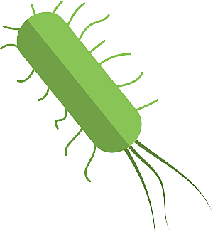 生物病毒微生物细菌病菌流感杆菌细泡