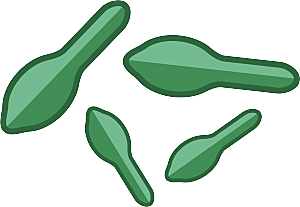 生物病毒微生物细菌病菌流感杆菌细泡素材