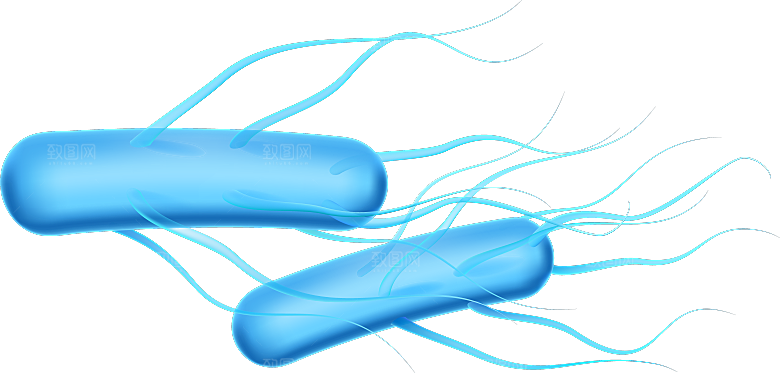 生物病毒微生物细菌病菌流感杆菌细泡素材
