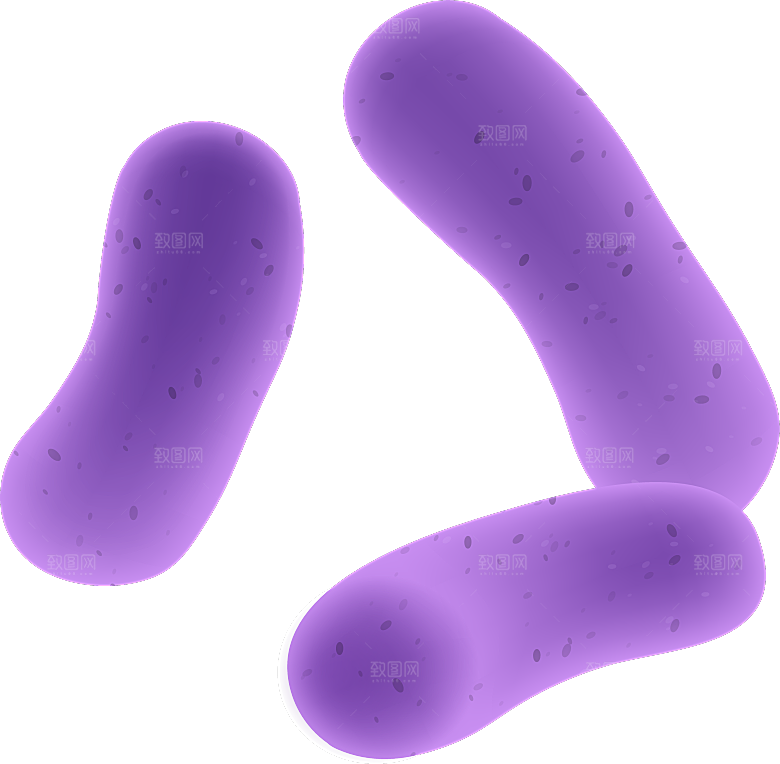 生物病毒微生物细菌病菌流感杆菌细泡