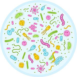 生物病毒微生物细菌病菌流感杆菌细泡