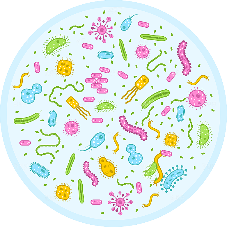 生物病毒微生物细菌病菌流感杆菌细泡