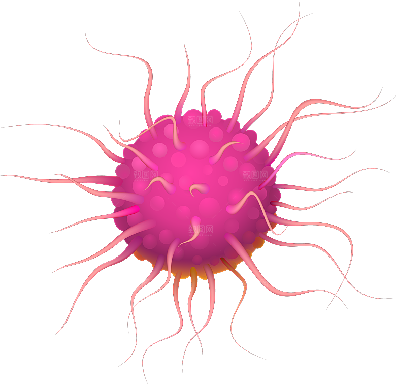 生物病毒微生物细菌病菌流感杆菌细泡