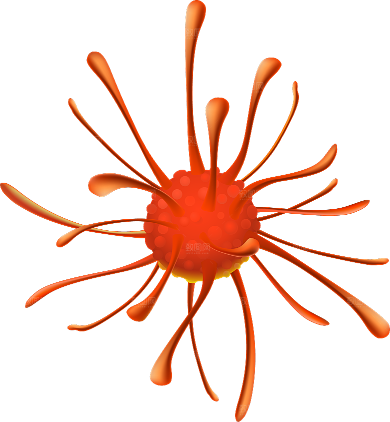 生物病毒微生物细菌病菌流感杆菌细泡