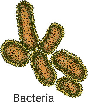 生物病毒微生物细菌病菌流感杆菌细泡素材