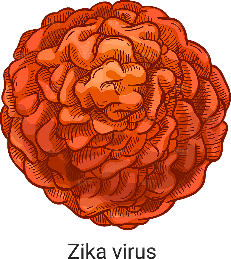 生物病毒微生物细菌病菌流感杆菌细泡素材