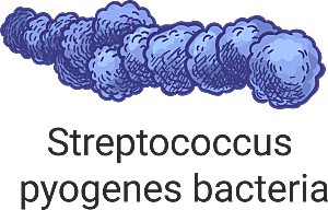 生物病毒微生物细菌病菌流感杆菌细泡