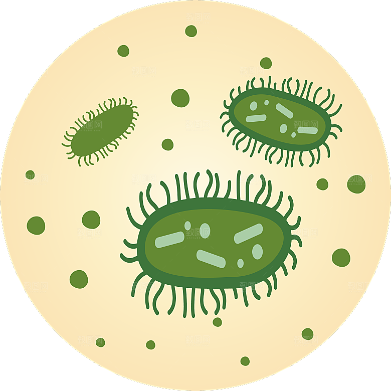 生物病毒微生物细菌病菌流感杆菌细泡