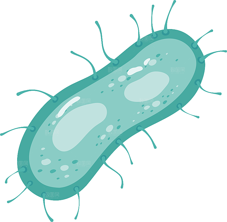 生物病毒微生物细菌病菌流感杆菌细泡素材