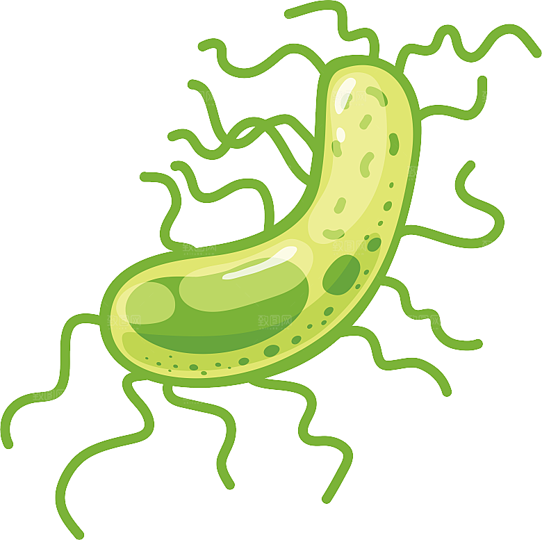 生物病毒微生物细菌病菌流感杆菌细泡组织