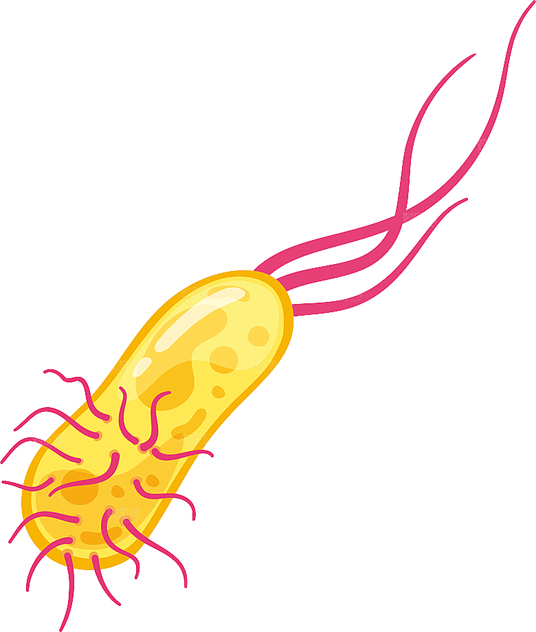 生物病毒微生物细菌病菌流感杆菌细泡组织