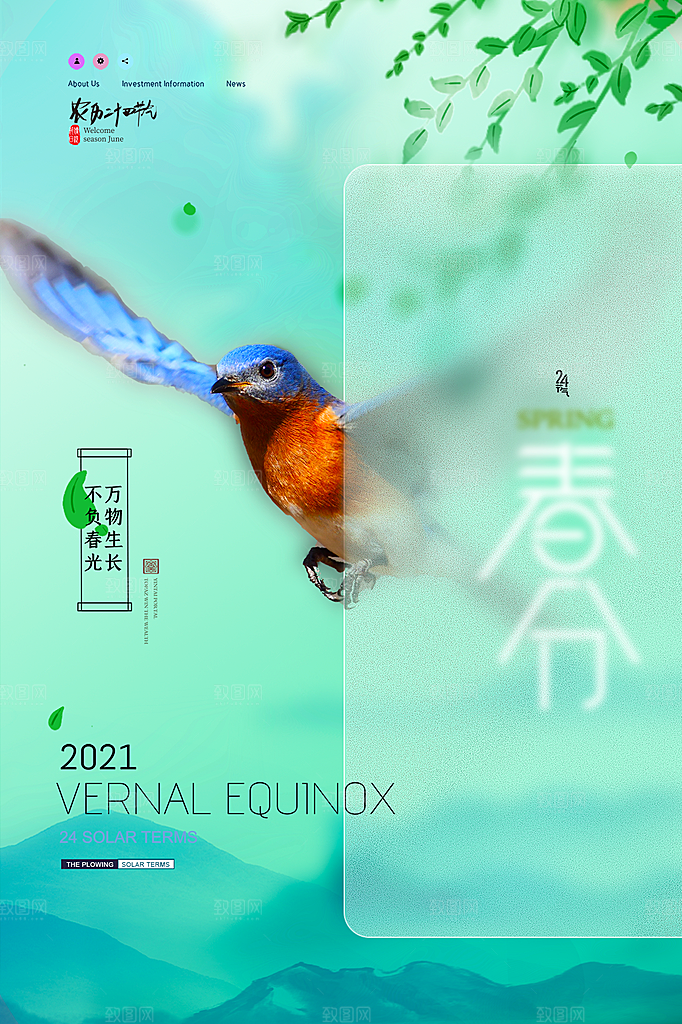 春分节气简约大气海报