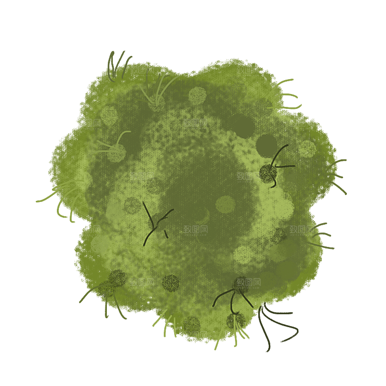 生物病毒微生物细菌病菌流感杆菌细泡组织