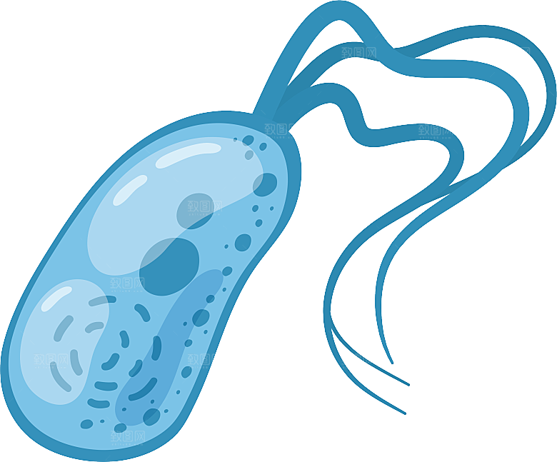 生物病毒微生物细菌病菌流感杆菌细泡