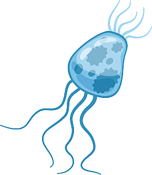 生物病毒微生物细菌病菌流感杆菌细泡