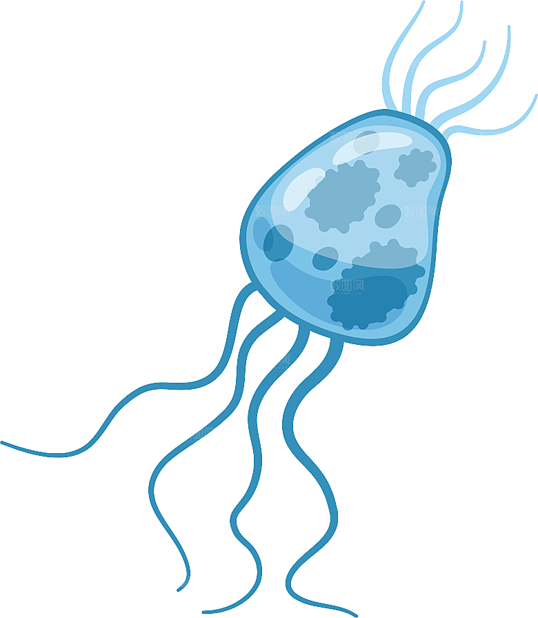 生物病毒微生物细菌病菌流感杆菌细泡