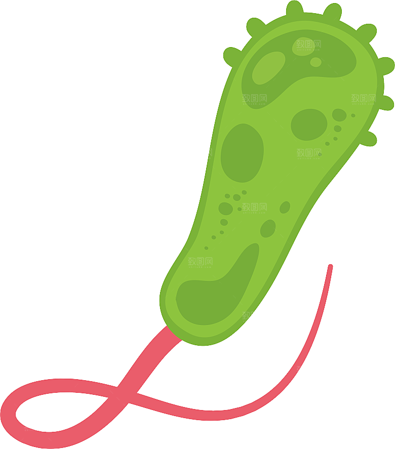 生物病毒微生物细菌病菌流感杆菌细泡