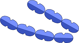 生物病毒微生物细菌病菌流感杆菌细泡