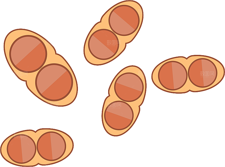 生物病毒微生物细菌病菌流感杆菌细泡
