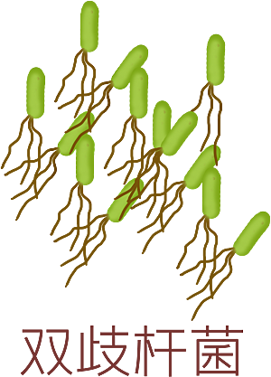 生物病毒微生物细菌病菌流感杆菌细泡