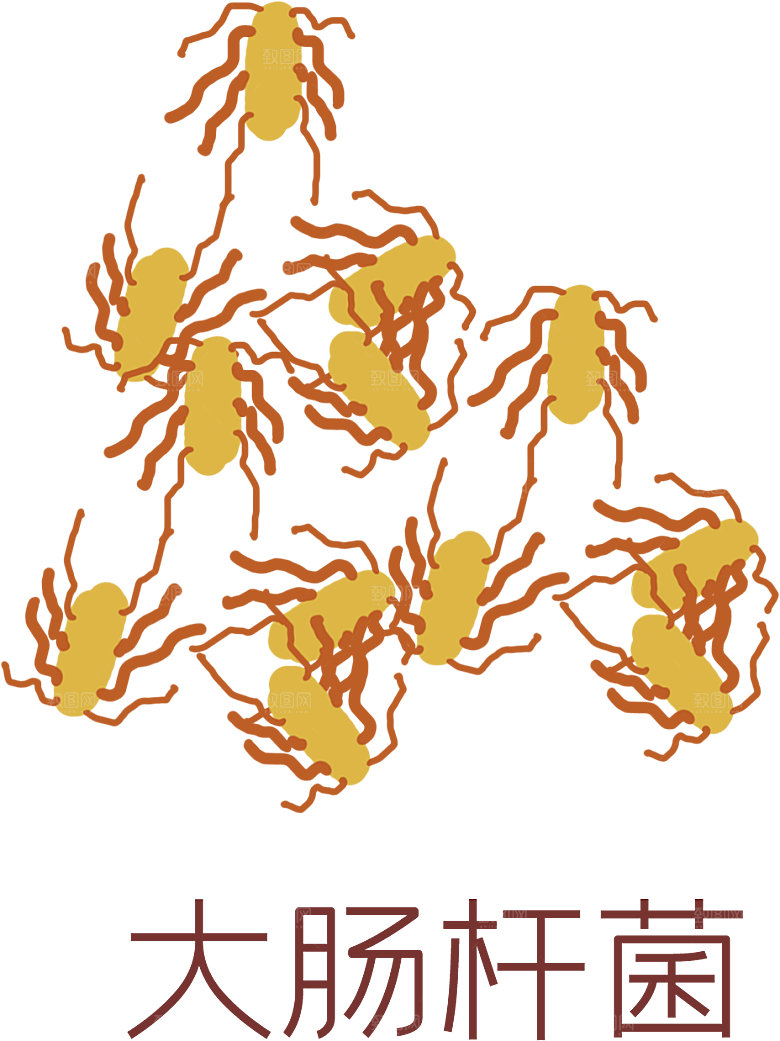 生物病毒微生物细菌病菌流感杆菌细泡