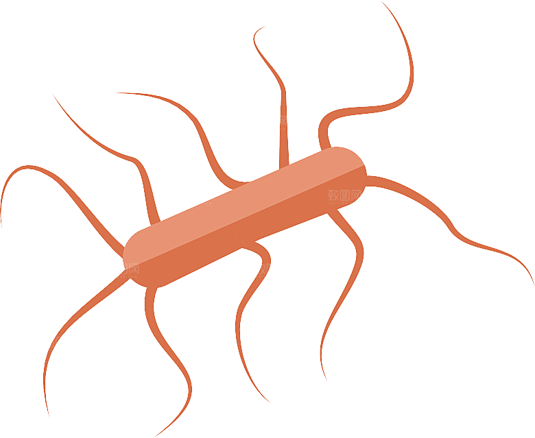 生物病毒微生物细菌病菌流感杆菌细泡