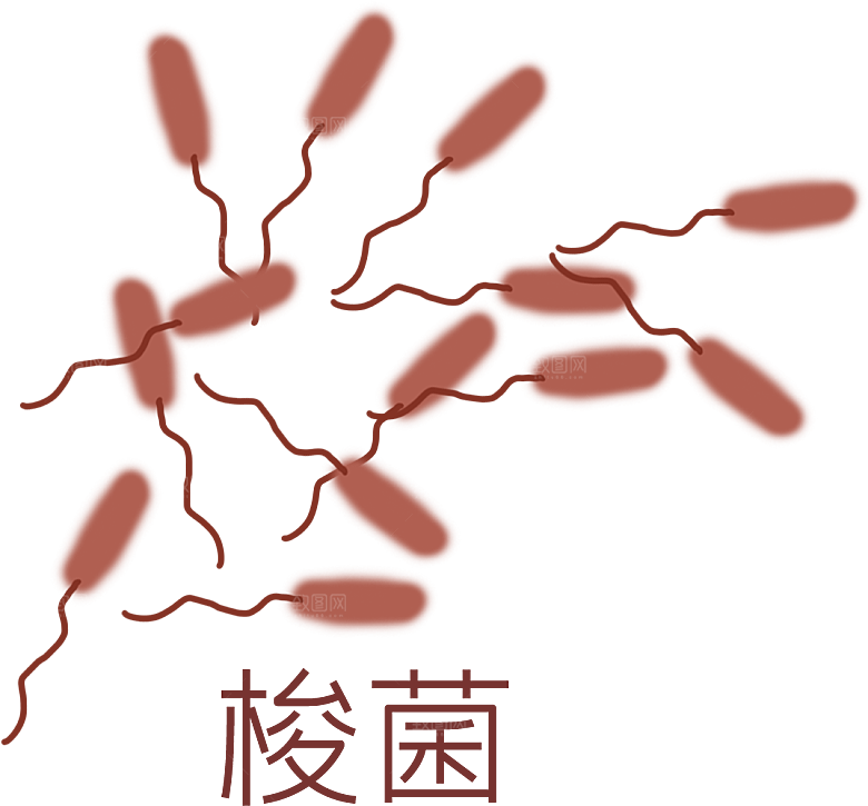 生物病毒微生物细菌病菌流感杆菌细泡