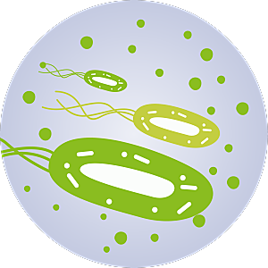 生物病毒微生物细菌病菌流感杆菌细泡