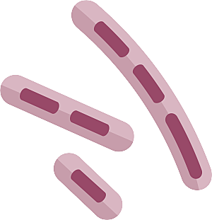生物病毒微生物细菌病菌流感杆菌细泡
