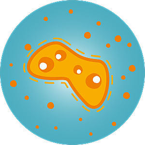 生物病毒微生物细菌病菌流感杆菌细泡