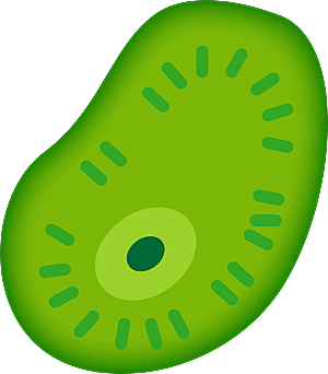 生物病毒微生物细菌病菌流感杆菌细泡