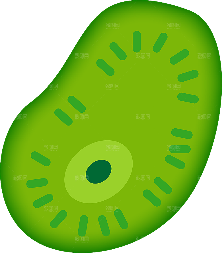 生物病毒微生物细菌病菌流感杆菌细泡