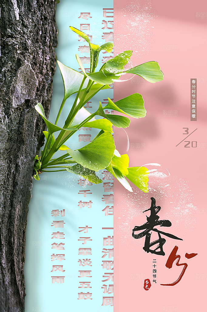 春分节气简约大气海报