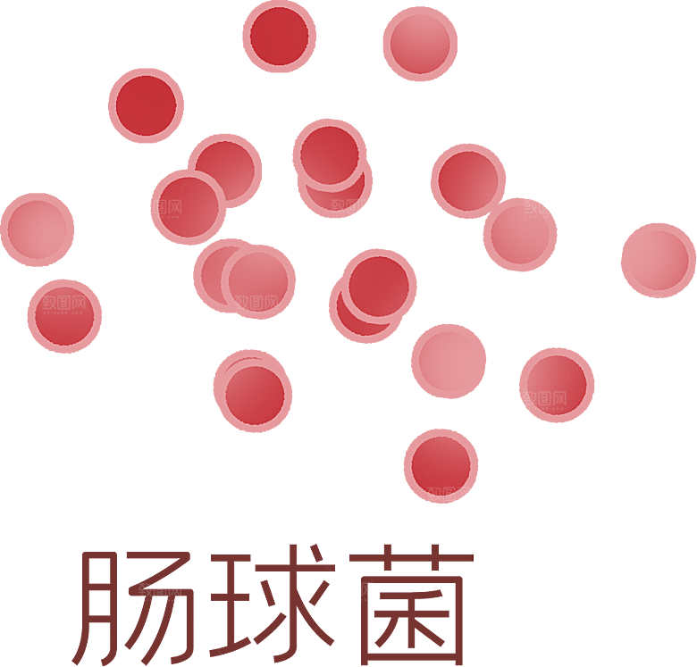 生物病毒微生物细菌病菌流感杆菌细泡