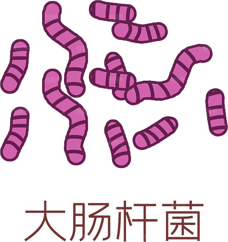 生物病毒微生物细菌病菌流感杆菌细泡