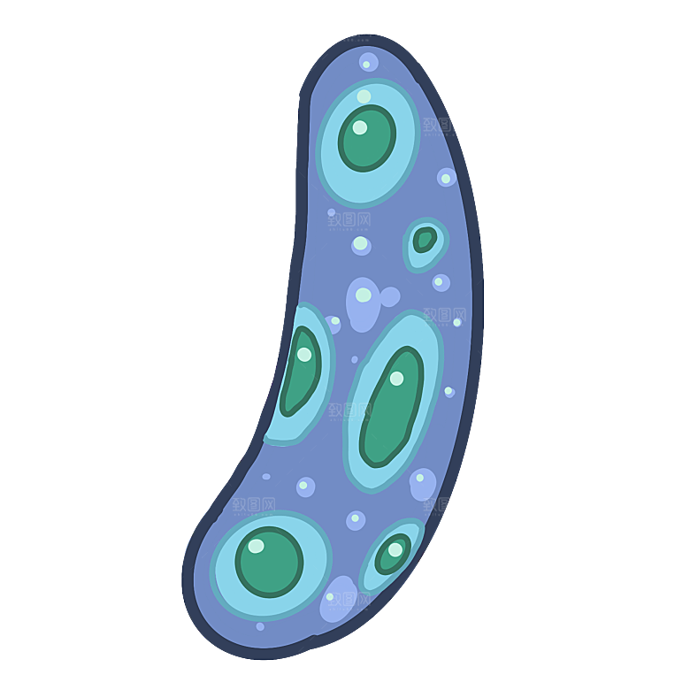 生物病毒微生物细菌病菌流感杆菌细泡组织