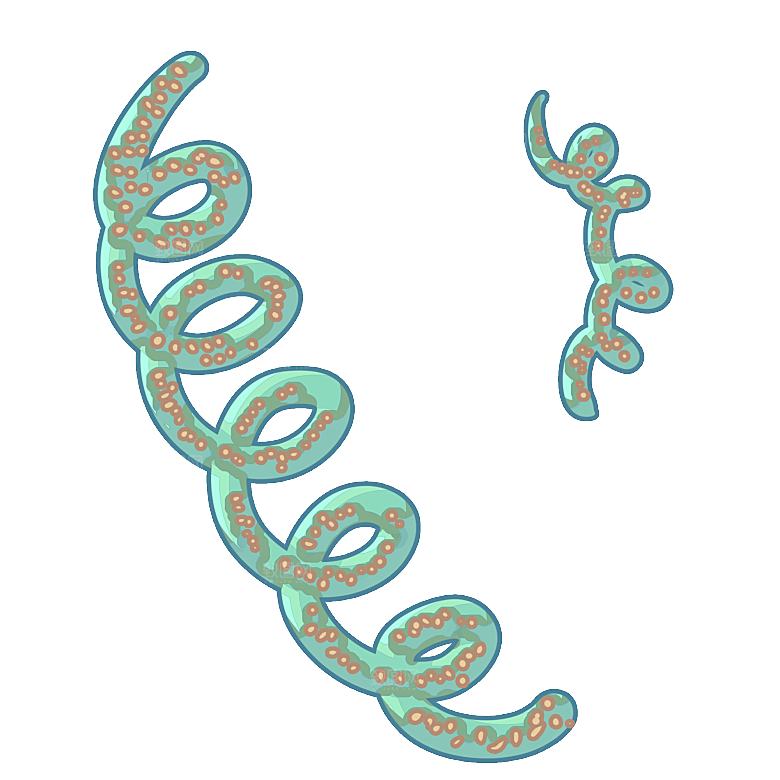 生物病毒微生物细菌病菌流感杆菌细泡组织