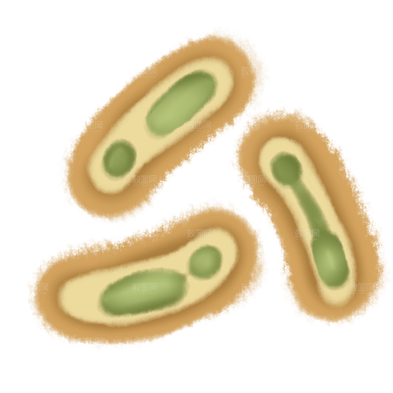 生物病毒微生物细菌病菌流感杆菌细泡