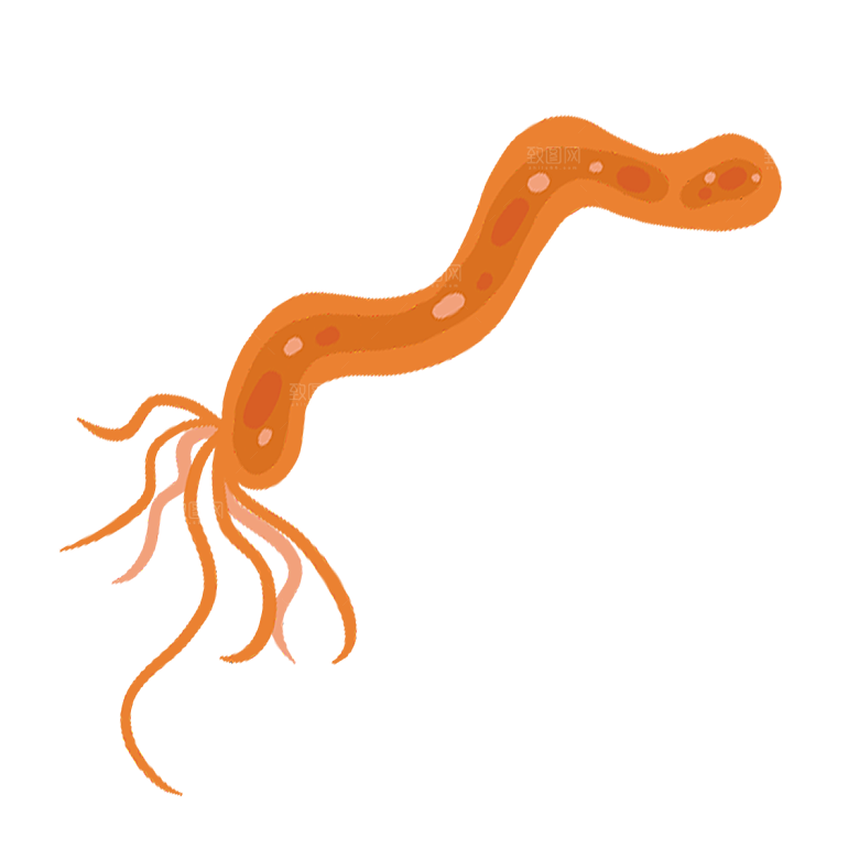 生物病毒微生物细菌病菌流感杆菌细泡